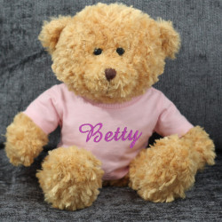 Teddy Bear in Personalised Pink Shirt Girls Personalised Bear