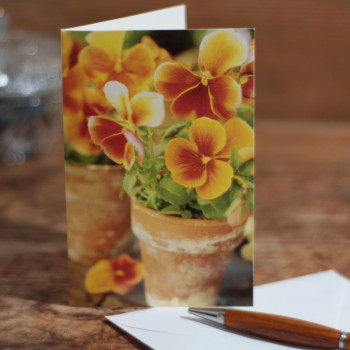 Flowers Note Card Yellow Pansies Card Blank Inside