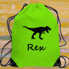 Personalised Dinosaur Gymbag T Rex Drawstring PE School Sack