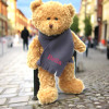 Teddy Bear Gift Wearing A Personalised Scarf