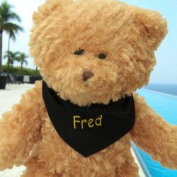 Personalised Scarf Bandana for Soft Toys