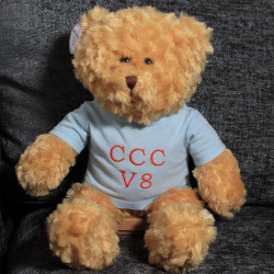 Teddy Bear in Personalised Blue Shirt Boys Personalised Bear