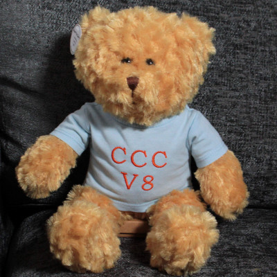 Teddy Bear in Personalised Blue Shirt Boys Personalised Bear