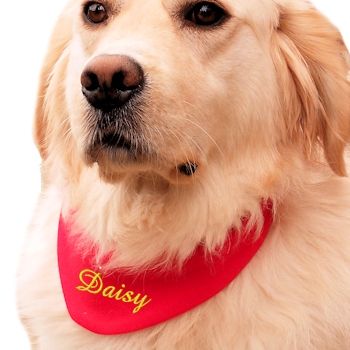 Personalised Red Pet Scarf