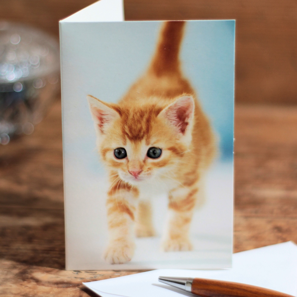 Kitten Note Card Ginger Cat Card Blank Inside