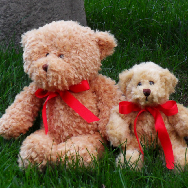 Personalised Teddy Bear Brown Teddy with Personalised Red Bow