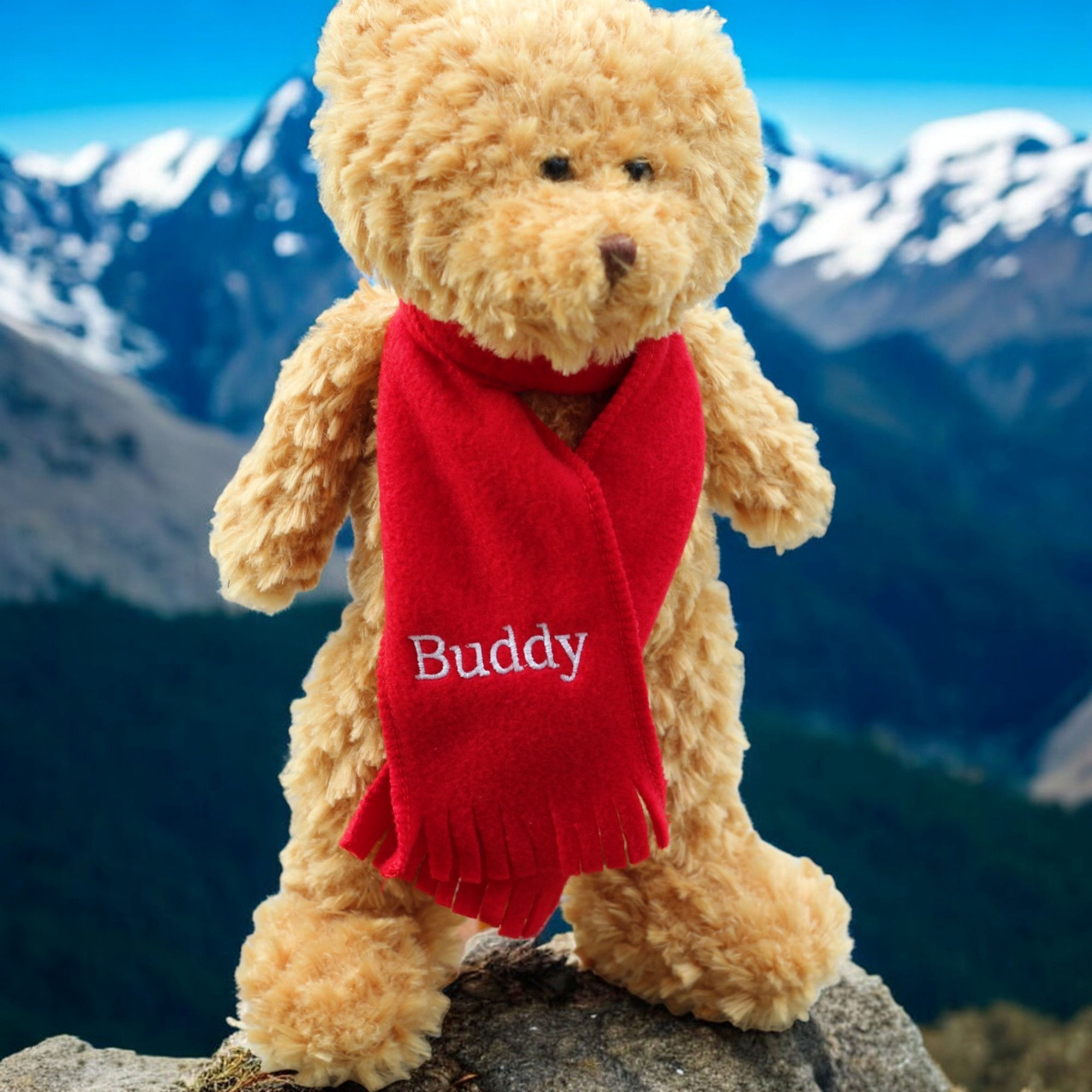 Personalised Teddy Bear Wearing A Personalised Scarf