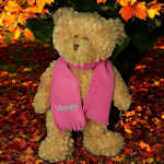 Personalised Bear Scarf Soft Toy Fleece Scarf Choose Colours