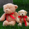 Brown Teddy with Personalised Red Bow