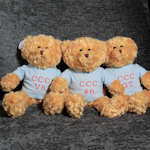Teddy Bear in Personalised Blue Shirt Boys Personalised Bear