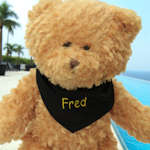 Bandana for Soft Toys