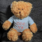 Teddy Bear in Personalised Blue Shirt Boys Personalised Bear