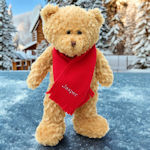 Personalised Teddy Bear Wearing A Personalised Scarf